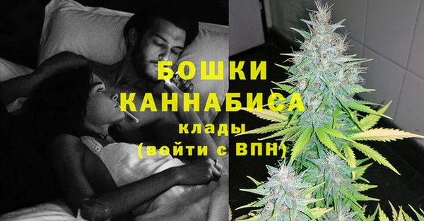 стафф Осинники